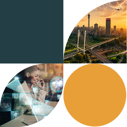 RIIS: Centers of Expertise